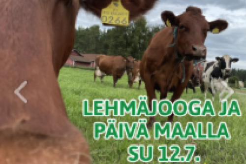 mainosteksti kuvana