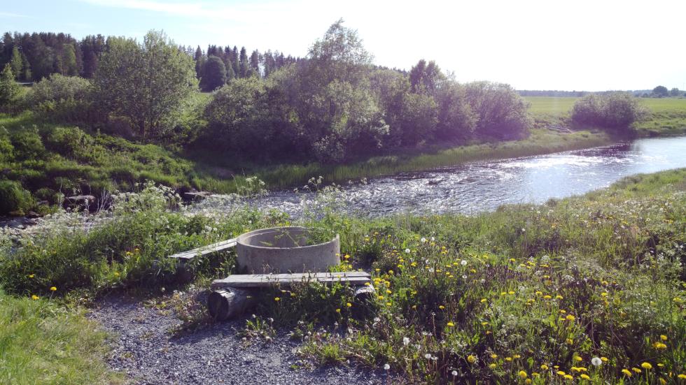 Makkaranpaistopaikka.