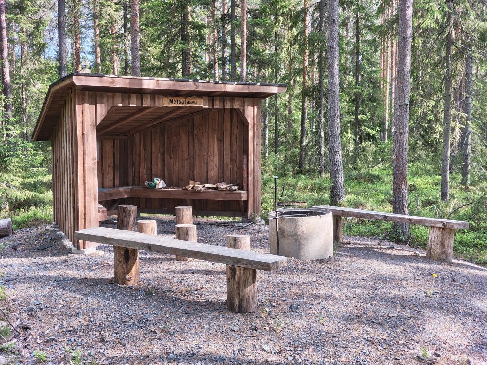 Metsälaavu.