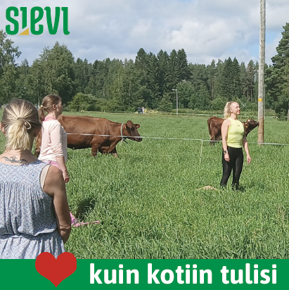 Mainosteksti kuvana.